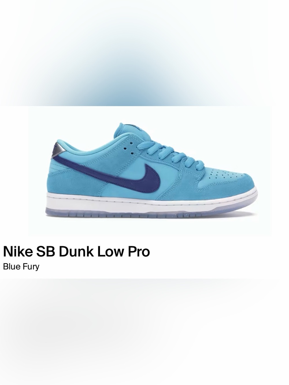 Nike SB Dunk Low Pro Blue Fury Size 10.5